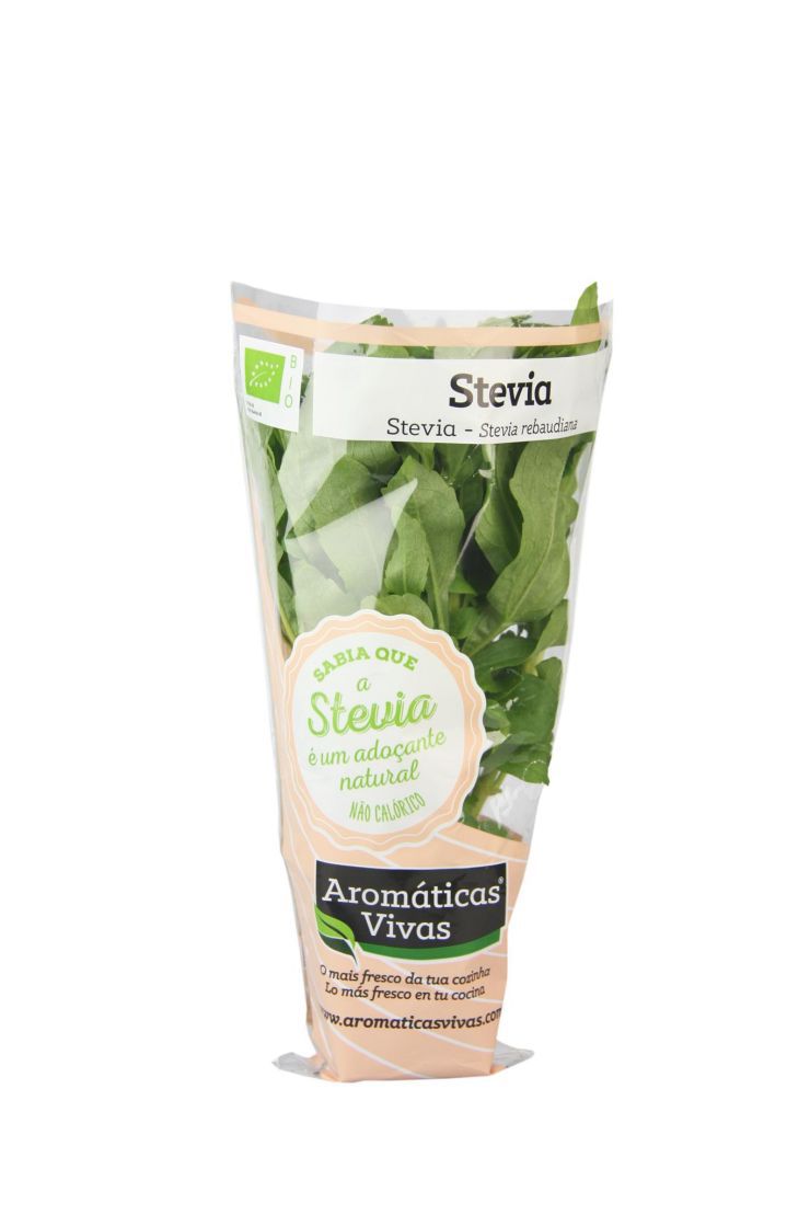 Stevia em vaso - Aromáticas Vivas