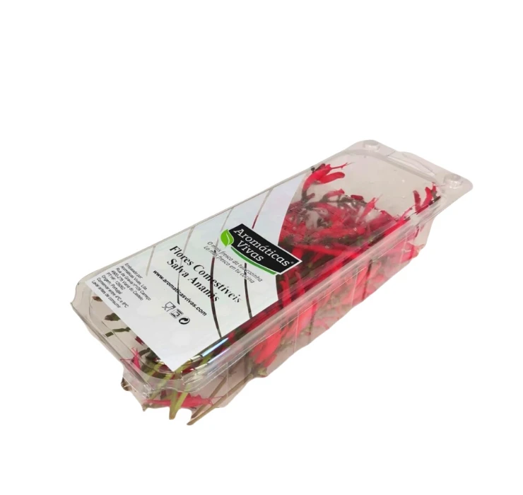 Flor Salva Anan�s - Arom�ticas Vivas